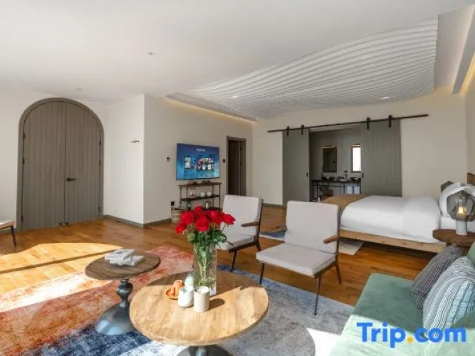 Standard Double room with lake view