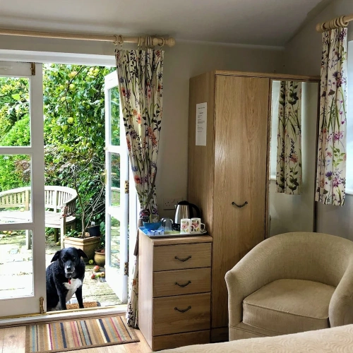 Standard Double room with garden view