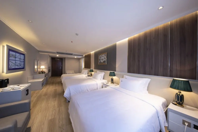 Deluxe Triple room