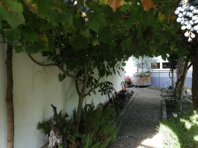 Haus Bienen