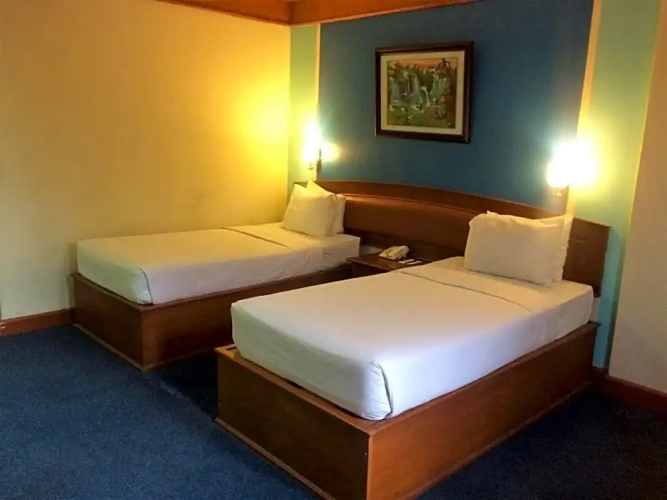 Superior Twin room with view