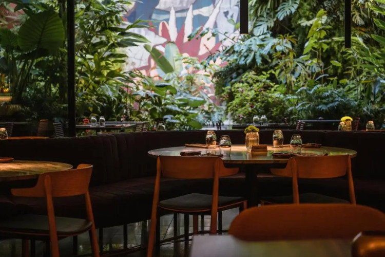 Hotel Hotel Over view