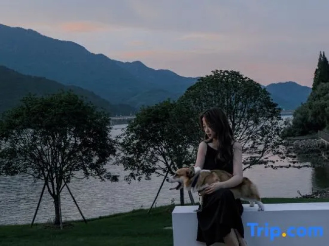 The Setting Sun Guesthouse
