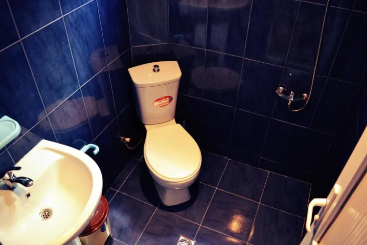 Saba Guest House