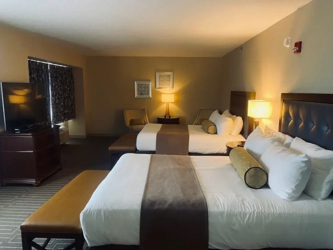 Standard Quadruple room