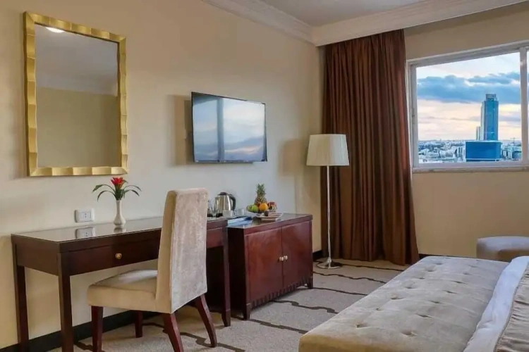 1 Bedroom Standard Double room with city view