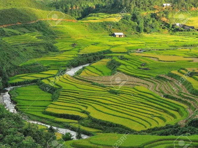 Canary Hotel Sapa
