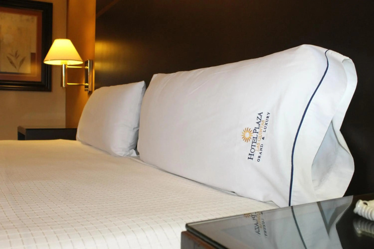 Hotel Plaza las Quintas