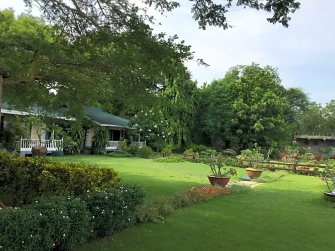 Superior Bungalow