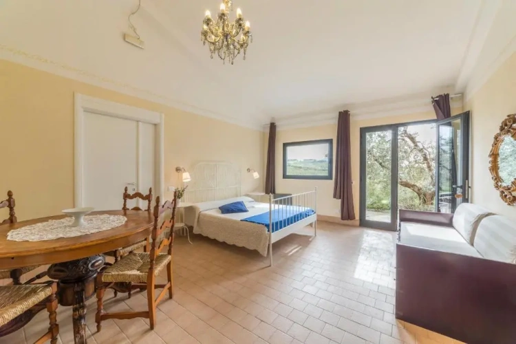 Standard Suite