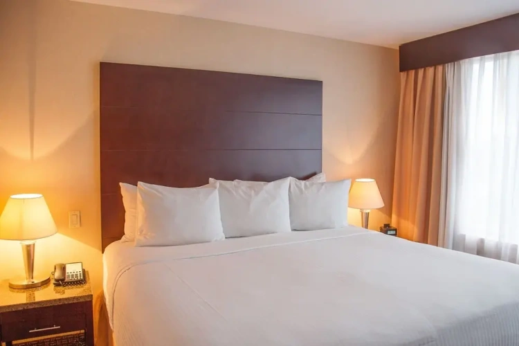 Business Double Suite