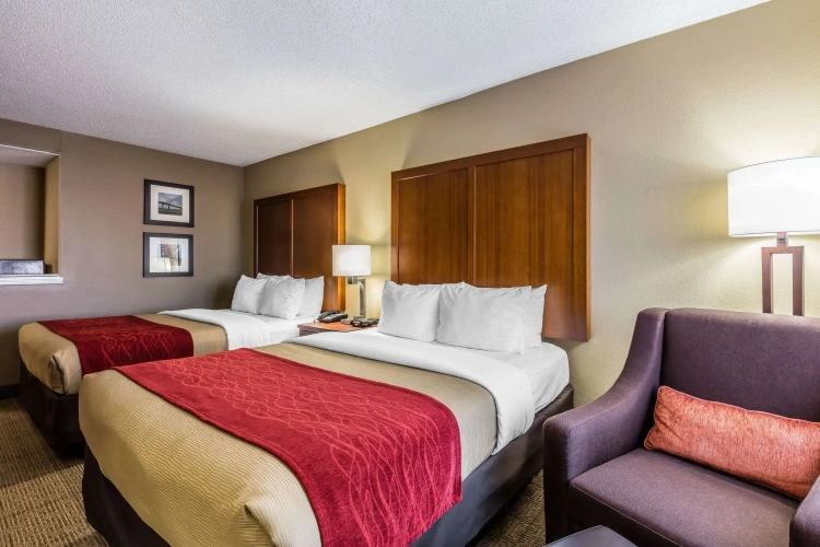 Standard Quadruple room