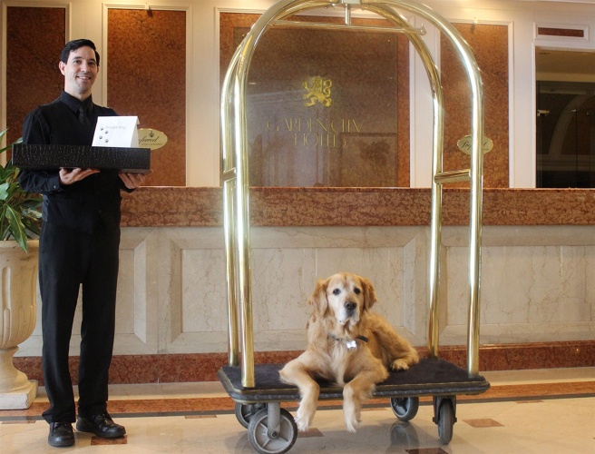 The Garden City Hotel photo 32