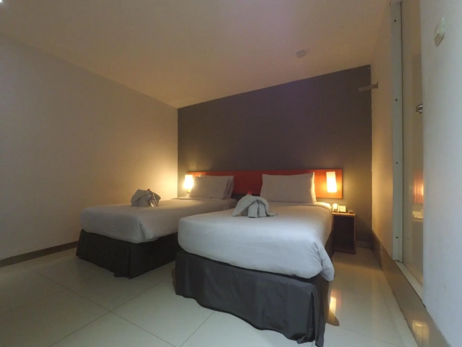 Deluxe Twin room