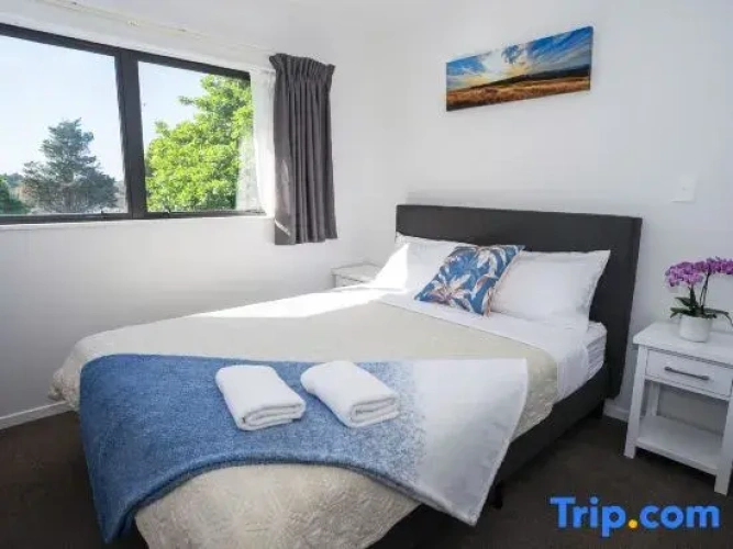 1 Bedroom Suite