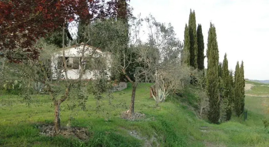 Il pollice verde