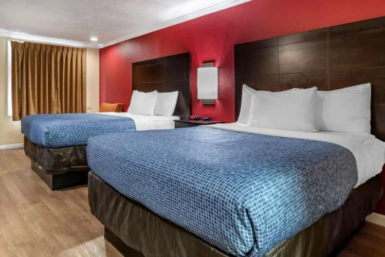 Superior Quadruple room
