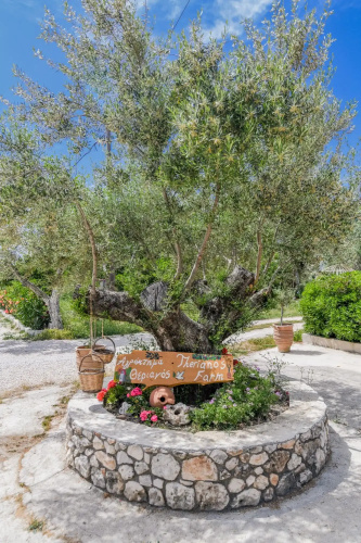 Villas Therianos