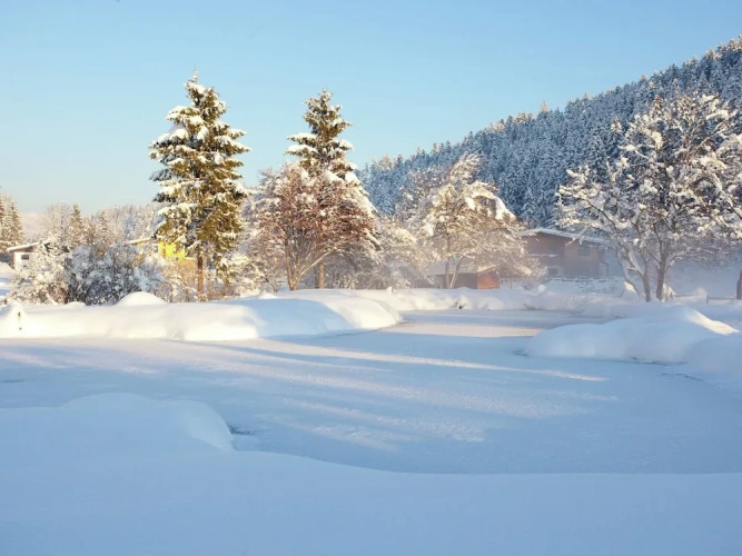 Comfort Chalet