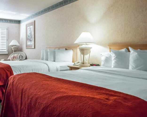 Quadruple Suite