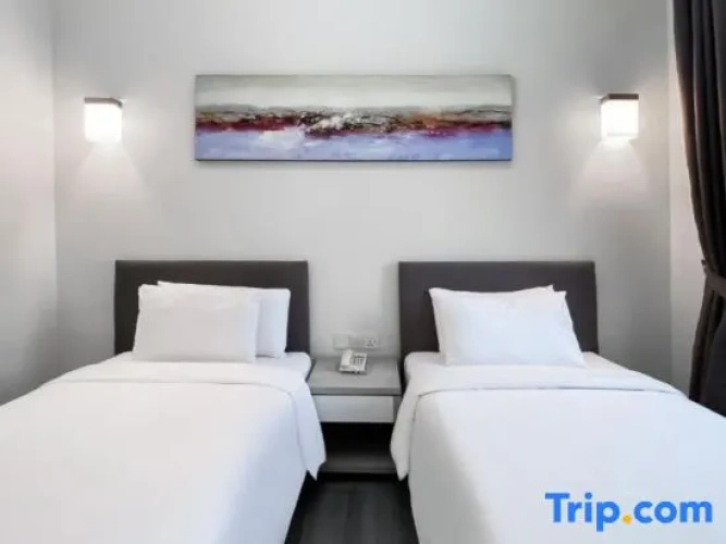 Premium Twin Suite