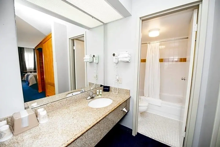 Standard Double Club room
