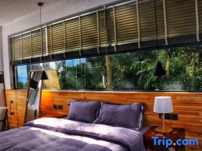 Standard Double room with view