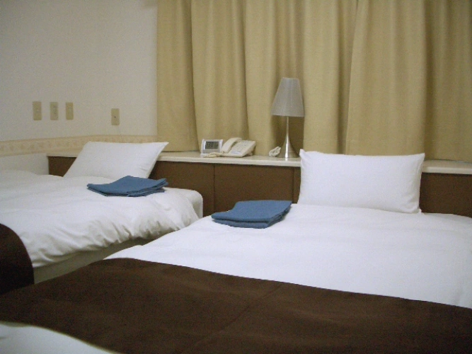 Economy Twin room