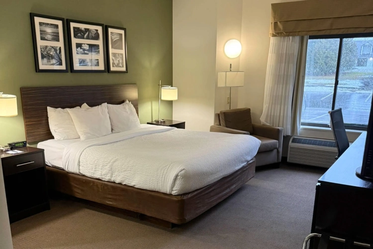 Standard Double room