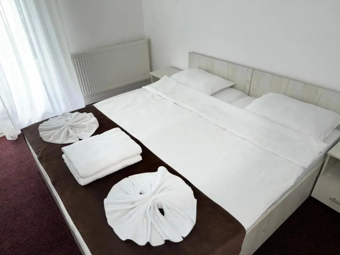 TreeZ Hostel