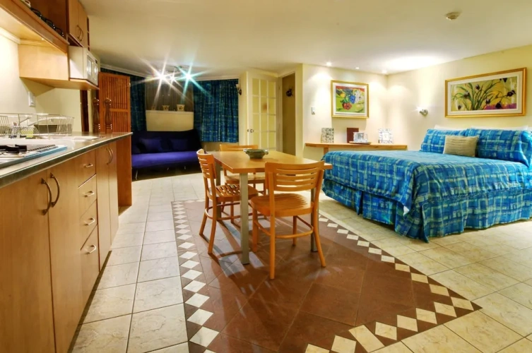 1 Bedroom Standard Basement Studio