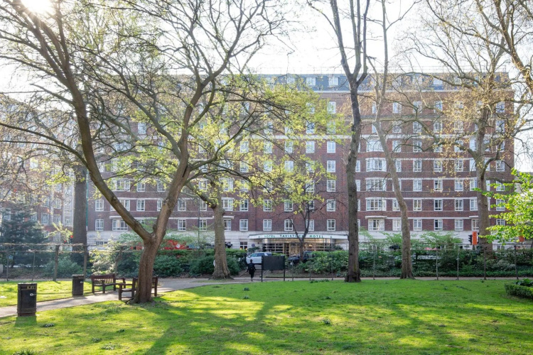 Tavistock Hotel photo 46