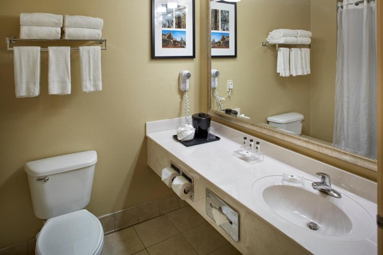 1 Bedroom Double Suite