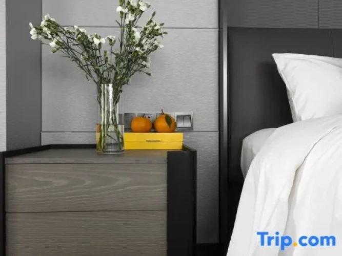 Comfort Double Suite