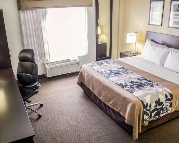 1 Bedroom Suite