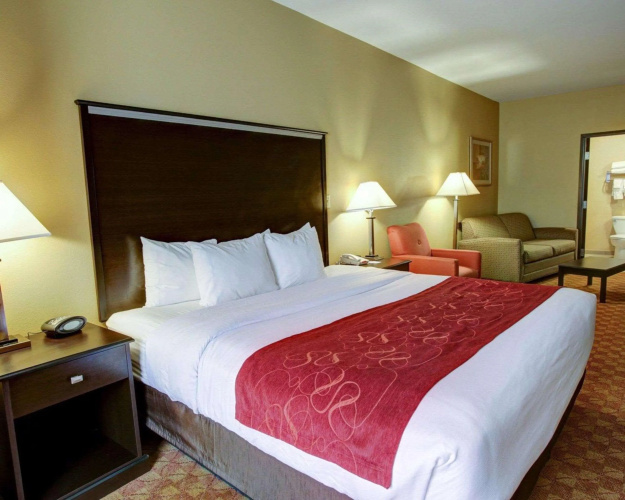 Comfort Suites Old Town Spring