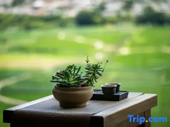 Shaxi Wangxi B&B