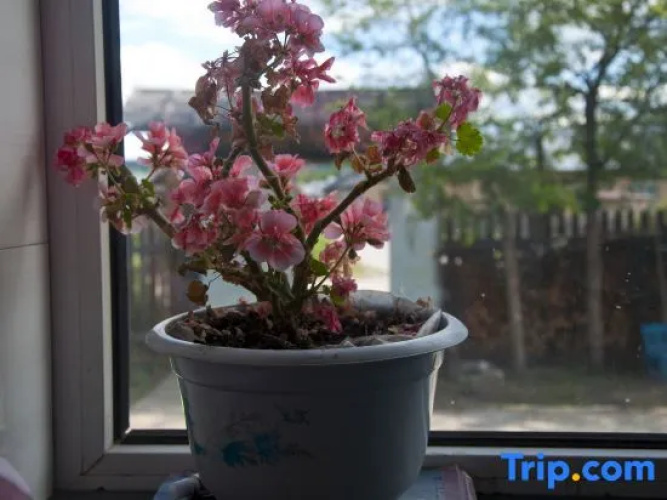 Yuanju Guest House