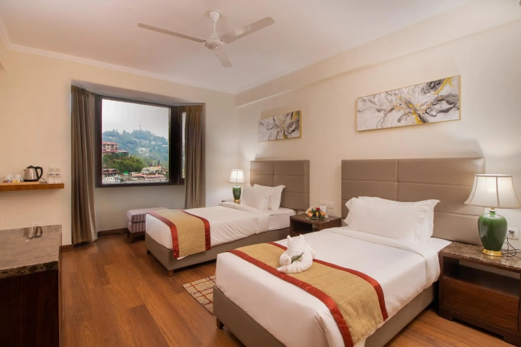 Deluxe Twin room with city view