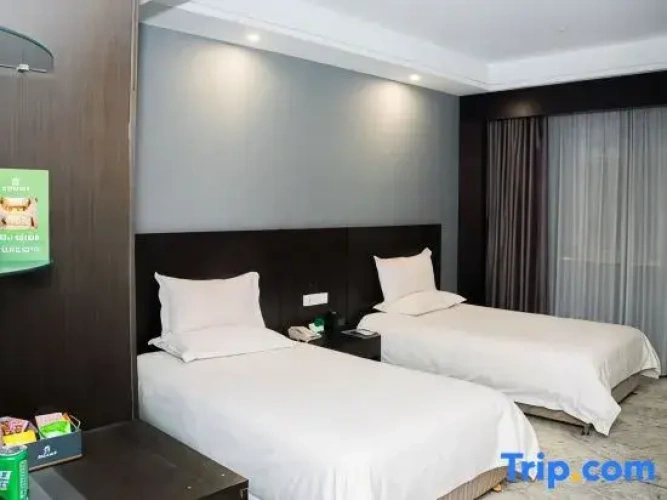 Business Twin room