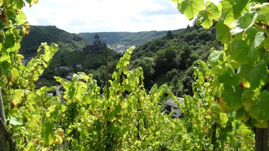 Talblick