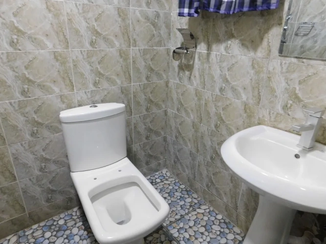 Standard Suite