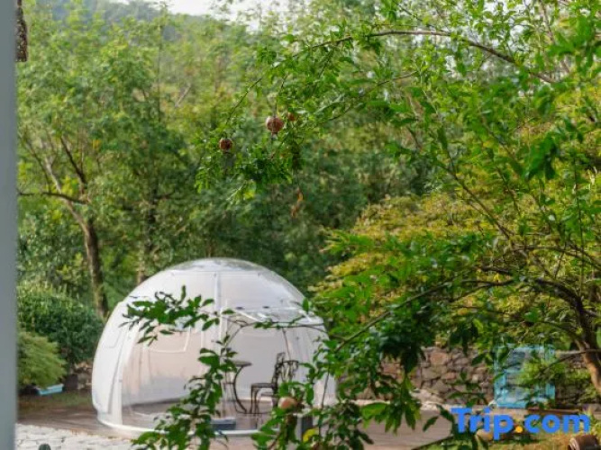 Yinxing Guli Hotel