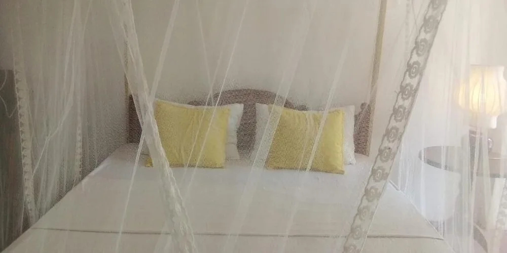 Sunrise City Palace