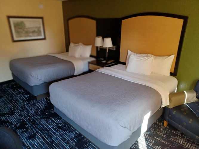 Guest rooms