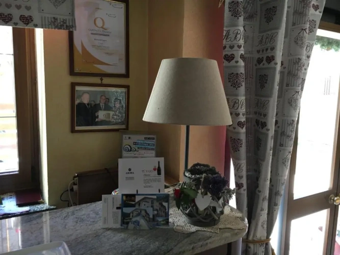 Standard Single room with view