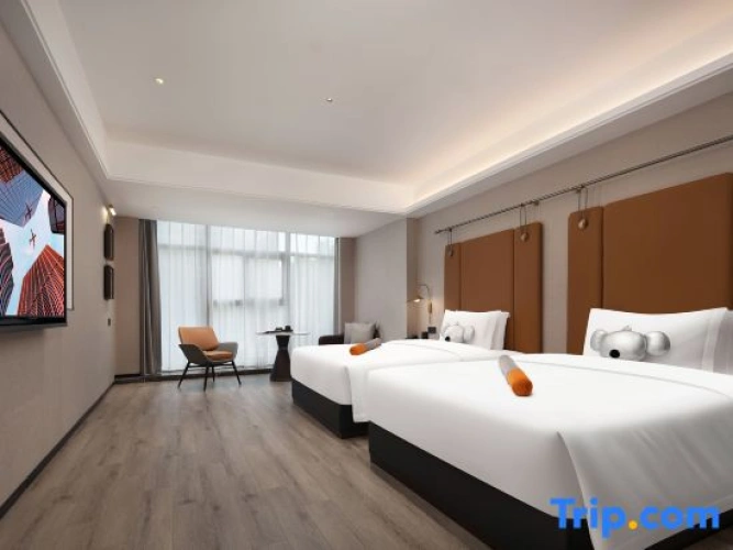 Standard Twin room with city view