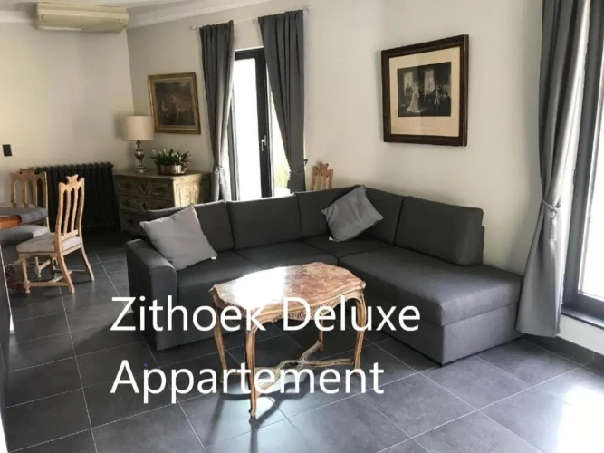 Deluxe Apartment