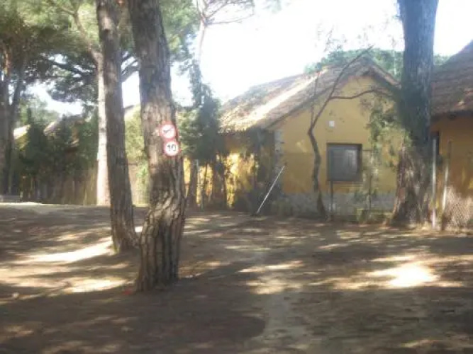 Camping Vejer