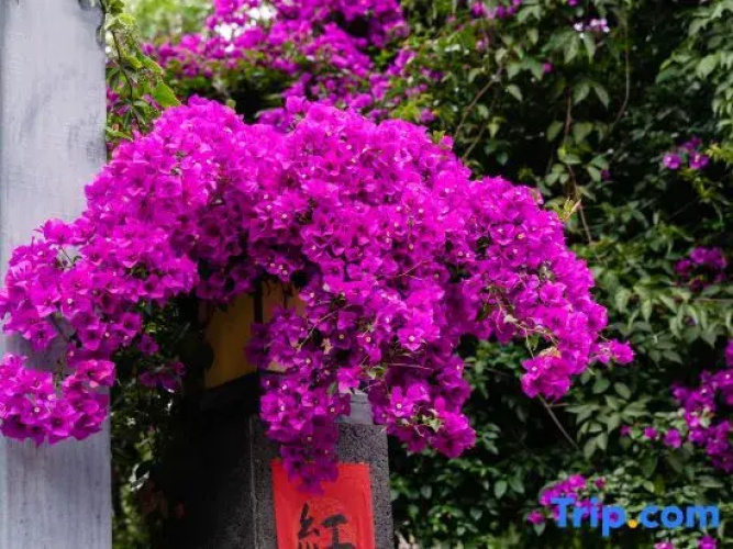 Kunming Yinyue Homestay